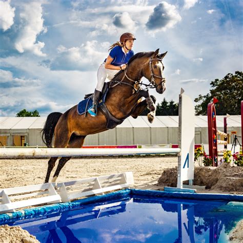 Een paard kopen doe je bij Horzepaza! .